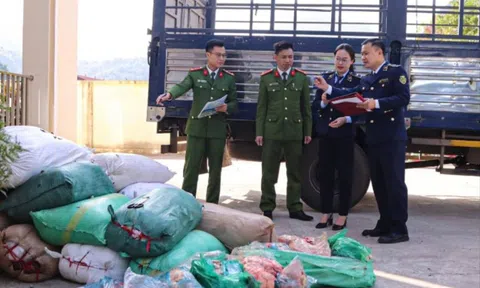 Bí mật giấu kín trong 40 bao tải trên xe ô tô đậu ven đường