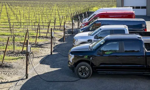 Ford âm thầm khai tử thêm nhiều mẫu xe điện