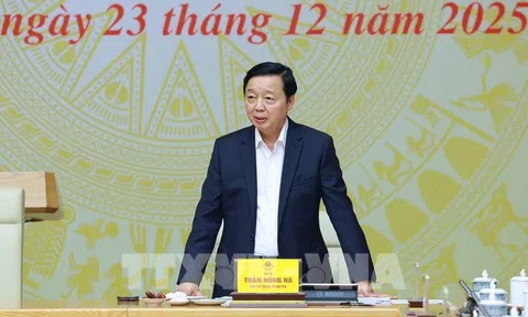 Phó Thủ tướng chỉ đạo xử lý nghiêm đường dây môi giới tàu cá ra nước ngoài khai thác trái phép