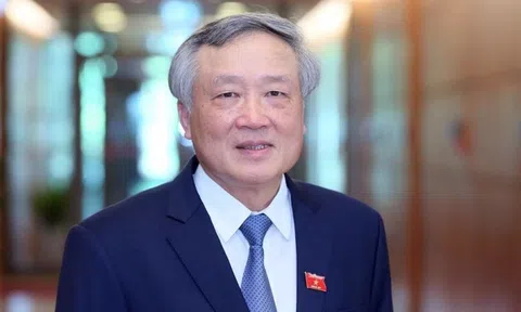 Phó Thủ tướng Nguyễn Hòa Bình làm Trưởng Ban chỉ đạo phòng không nhân dân Trung ương