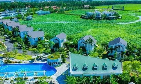 Cổ đông lớn của TIG 'xả hàng' 4 triệu cổ phiếu