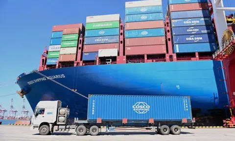 Bộ Công Thương vào cuộc "giải cứu" gần 500 container chè mắc kẹt tại Pakistan