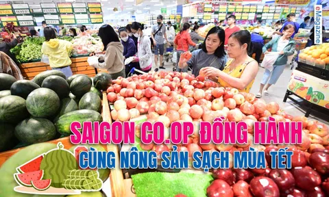 Saigon Co.op đồng hành cùng nông sản sạch mùa Tết