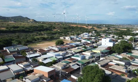 Đẩy nhanh giải phóng mặt bằng 2 dự án điện hạt nhân