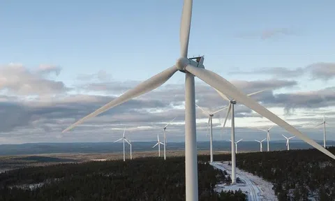 Cánh turbine điện gió bỏ đi được “hồi sinh” theo cách không ngờ