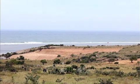 Dùng 6.700 tỷ di dời, tái định cư Nhà máy điện hạt nhân Ninh Thuận 1