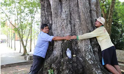 Chiêm ngưỡng 2 ‘báu vật’ trăm năm tuổi trong ngôi chùa mang tên một loài hoa