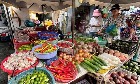 VIDEO: Giá ớt ở TPHCM đắt ngang thịt bò?