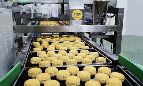 Hai anh em họ Trần sắp nhận hàng chục tỷ đồng tiền cổ tức từ KIDO