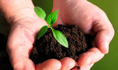 CTCK điểm tên doanh nghiệp phân bón tiềm năng 2026, kỳ vọng tăng trưởng 2 chữ số