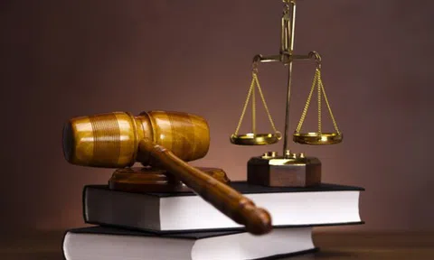 Vì sao Cienco1 bị xử phạt?