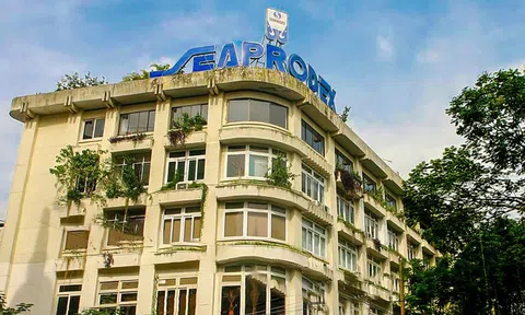 Công ty con của Novaland thành cổ đông lớn tại Seaprodex