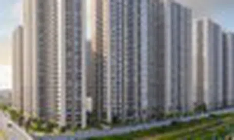 “Phép thử” mang tên VIN