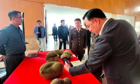 Thí điểm truy xuất nguồn gốc sầu riêng từ đầu năm 2026