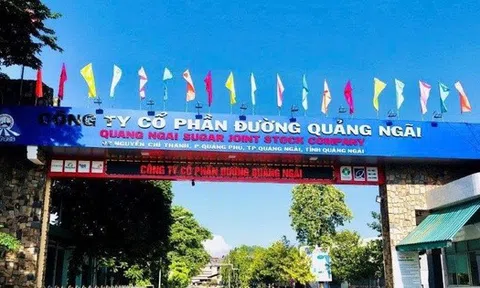 Đường Quảng Ngãi sắp chi gần 368 tỷ đồng tạm ứng cổ tức đợt 2/2025