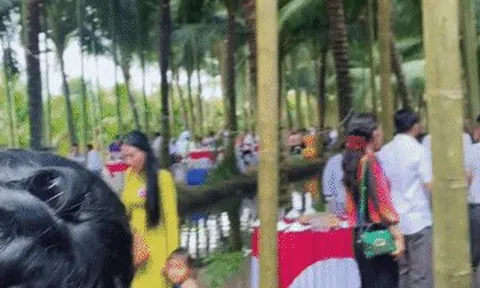 Chú rể Vĩnh Long làm 80 mâm cỗ ở vườn dừa 10.000m², mắc võng cho khách nghỉ ngơi