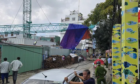 Hé lộ nguyên nhân vụ sập cần cẩu giữa trung tâm Đà Nẵng