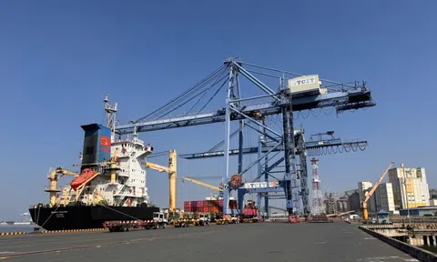 Cái Mép - Thị Vải liên tục đón tàu container trọng tải lớn trong ngày đầu năm 2026
