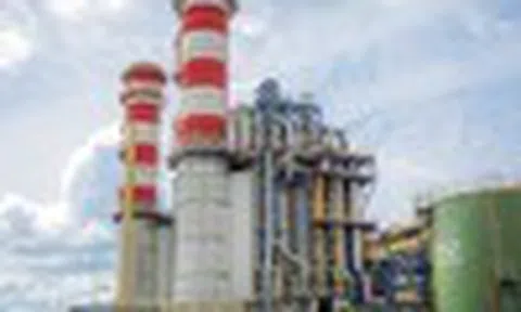 Cổ phiếu cần quan tâm ngày 30/12