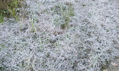 Miền Bắc có nơi rét đậm, rét hại dưới 10 độ C, đề phòng băng giá