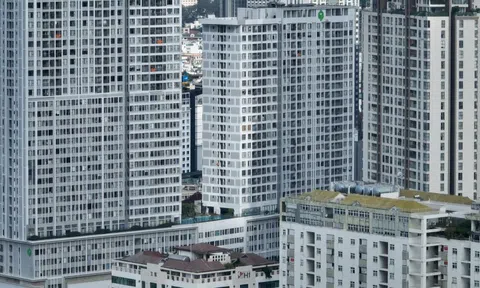 Chung cư TP.HCM diện tích 25-32 m2 chỉ được tính một người ở