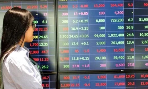 Đầu tư chứng khoán năm 2026 cần lưu ý gì?