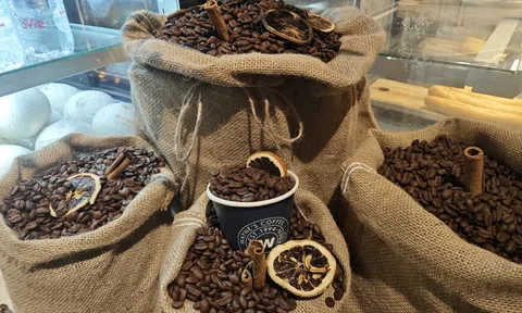 Giá cà phê hôm nay 4-1: Việt Nam là nguồn cung cà phê thứ 3 cho Mỹ