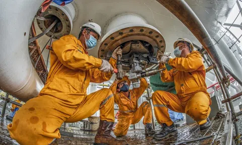 Dầu khí thắng lớn