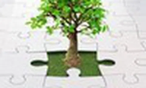 Nhận định thị trường phiên giao dịch ngày 5/1: Giải ngân vào các cổ phiếu thu hút dòng tiền