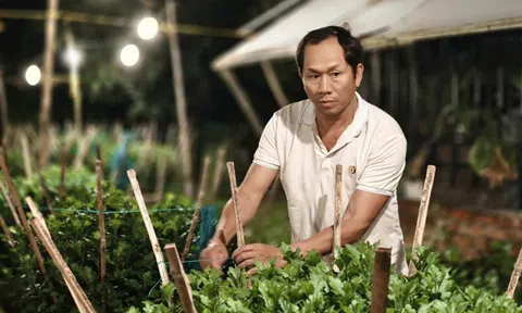 Làng hoa Tết gượng dậy sau bão lũ