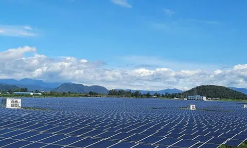 Hai thành viên mảng năng lượng của BB Group bị xử phạt vì 'ém' thông tin