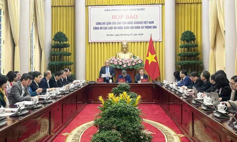 Công bố Lệnh của Chủ tịch nước về các luật thuế, nhiều quy định liên quan hộ kinh doanh