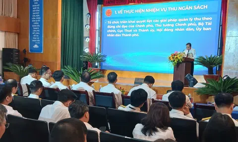 TPHCM tạm hoãn xuất cảnh hơn 32.800 trường hợp do nợ thuế