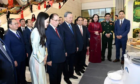 Khẳng định vị thế trí tuệ Việt trên bản đồ vật liệu công nghệ cao toàn cầu