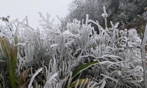 Miền Bắc chìm trong rét đậm, rét hại, Mẫu Sơn lạnh sâu dưới 3 độ C