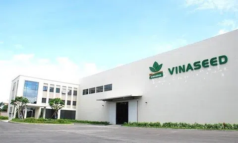 PAN Farm sắp nhận hàng chục tỷ đồng cổ tức từ Vinaseed