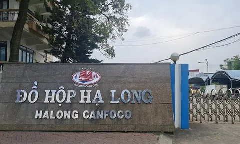 Khởi tố, bắt tạm giam 9 đối tượng liên quan vụ 120 tấn thịt lợn nhiễm bệnh "nằm kho" CTCP Đồ hộp Hạ Long