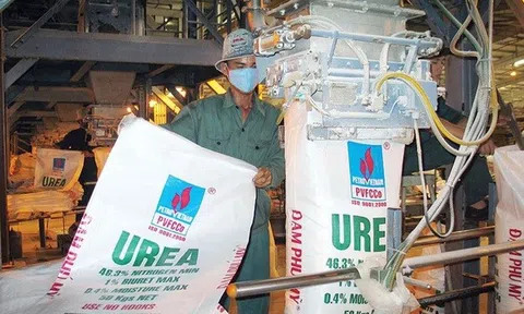 Đạm Phú Mỹ đặt kế hoạch doanh thu tăng trưởng hai chữ số, lên tới 17.600 tỷ đồng năm 2026