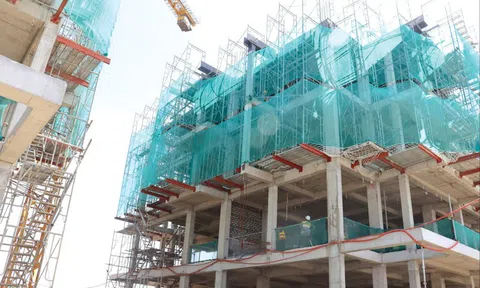 Siết chặt quy định đấu giá, ngăn ngừa trục lợi rồi bỏ cọc