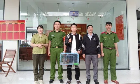 Thấy chim lạ rơi gần nhà, người dân tra cứu mới biết là chim quý