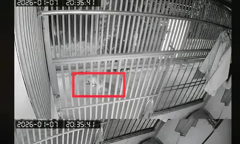 Khi hàng xóm thành... đối thủ