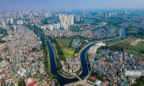 Tăng mức đặt cọc đấu giá đất lên tới 50%, bỏ cọc bị cấm đấu giá tới 5 năm