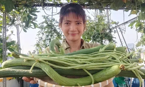 Khởi nghiệp online với cây giống, hoa kiểng Tết