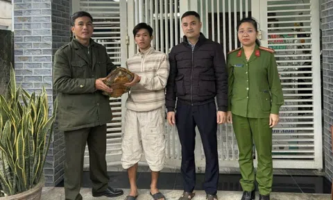 Người dân ở Đà Nẵng giao nộp con vật quý nặng 6,8 kg lạc trong vườn