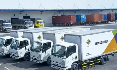 Transimex chào bán 400 tỷ đồng trái phiếu chuyển đổi