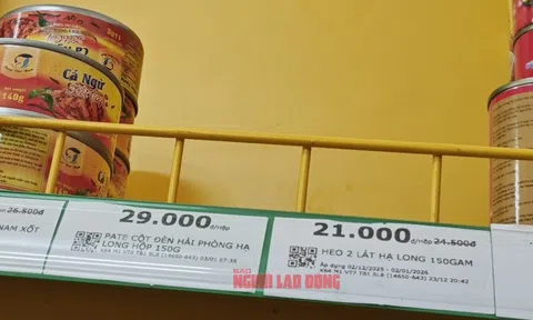 Sở Công Thương TPHCM lên tiếng vụ "đồ hộp Hạ Long"