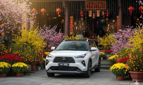 Phí trước bạ ô tô tăng bất thường ở Đà Nẵng, cơ quan thuế nói do sơ suất