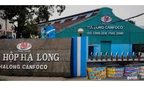 NÓI THẲNG: Patê 'bẩn' của Hạ Long Canfoco và những người không thể vô can