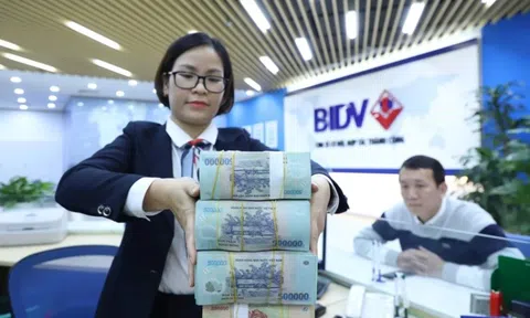 Ngân hàng lớn nhất Việt Nam báo lãi hơn 36.000 tỷ đồng