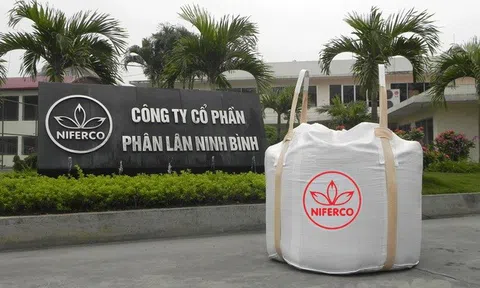 Công ty liên quan đến ông Nguyễn Ngọc Thạch tăng sở hữu tại Phân lân Ninh Bình
